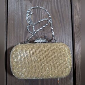 Shimmering Gold and Silver Evening Clutch